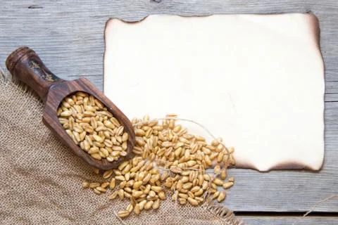 Background with wheat grains Stock Photos