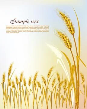 Background with wheat Stock Illustration