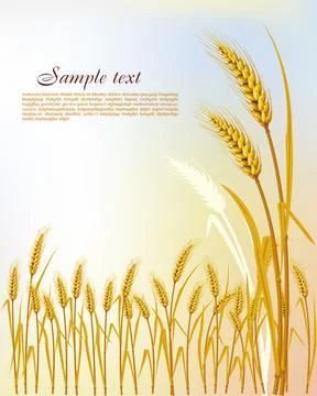 Background with wheat Stock Illustration