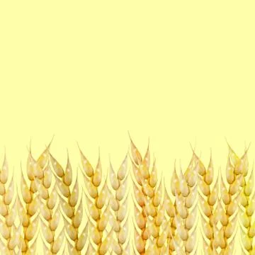 Background with wheat spikelets, vector illustration. Stock Illustration