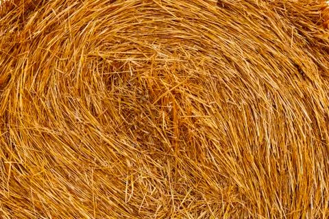 Background from wheat straw Foto stock