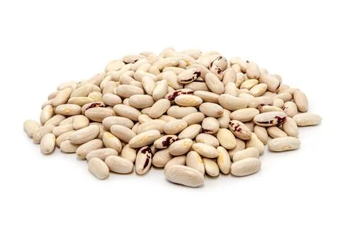 Background of white beans. Bunch of beans on white background Stock Photos