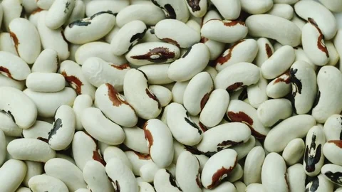 Background from white beans. Healthy organic food Stock Footage