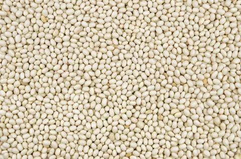 Background with white beans 库存照片