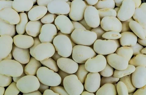Background of white beans processed after harvesting Stock Photos