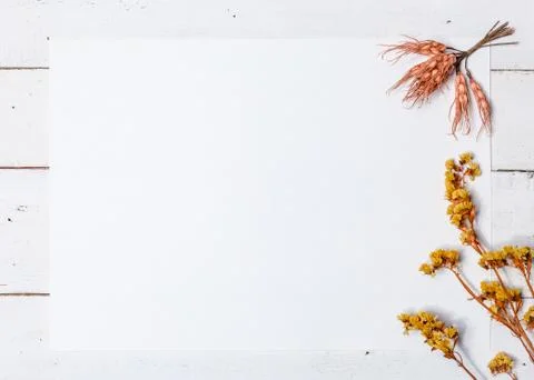 Background of white boards Stock Photos