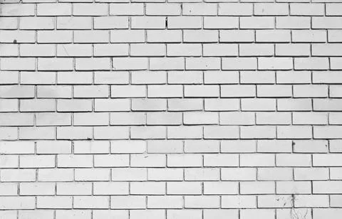 The background is a white brick wall Stock Photos