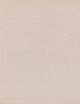 Background from white coarse canvas texture 스톡 사진