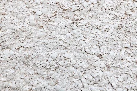 Background of white eggshells. Stock Photos