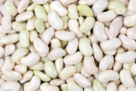 Background of white kidney beans, Young, raw, fresh beans Stock Photos