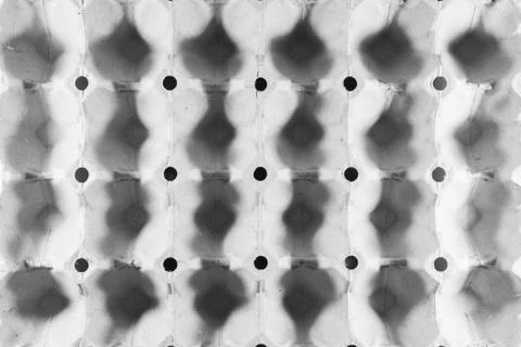 Background the white panel paper intended for  put the egg. Stock Photos