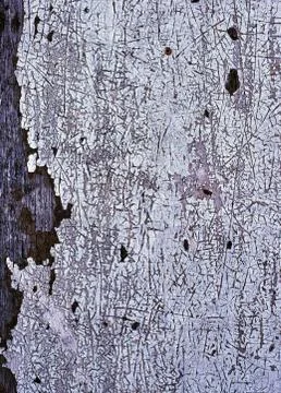 Background of white, peeling paint on an old wall Stock Photos