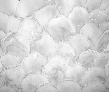 Background with white plaster wall Stock Photos