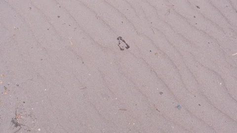 Background from white sea dry sand with wavy lines on beach. Stock Footage 117672393