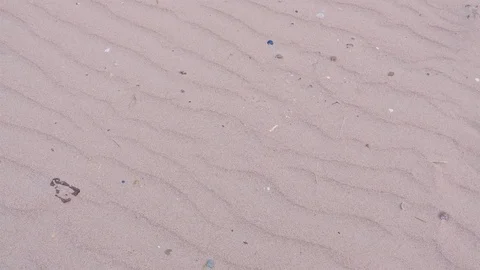 Background from white sea dry sand with wavy lines on beach. Stock Footage 117909160
