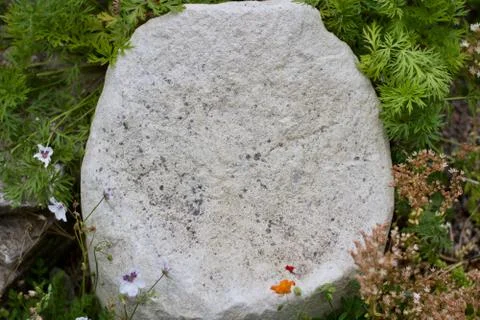 Background of white stone in garden setting with copy space Stock Photos
