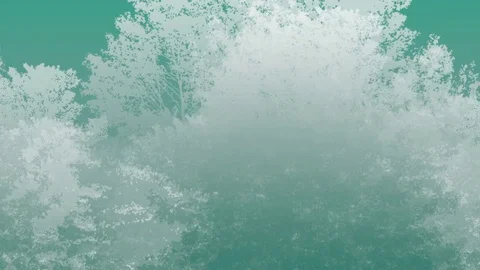 Background white tree  Animation. Camera Moves Lateral 4k loop Stock Footage 79782170