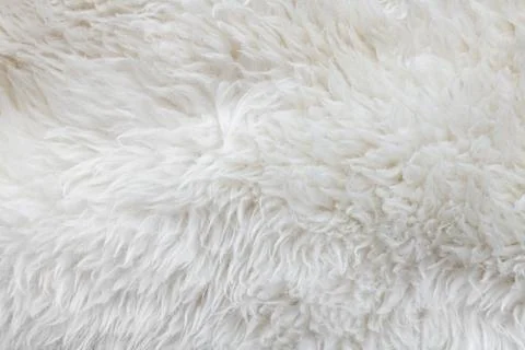 Background of white wool.. Stock Photos
