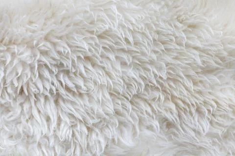 Background of white wool.. Stock Photos