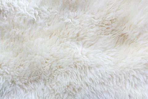 Background of white wool. Stock Photos