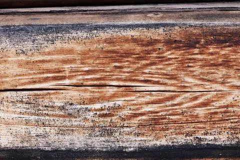 Background of withered wooden panel Stock Photos
