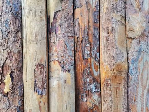 Background wood image. Stock Photos
