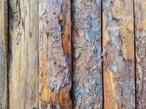 Background wood image. Stock Photos