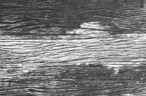 Background wood Stock Photos