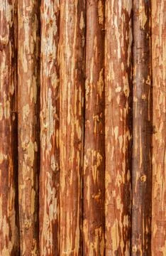 Background of wood Stock Photos