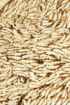 Background wood Stock Photos