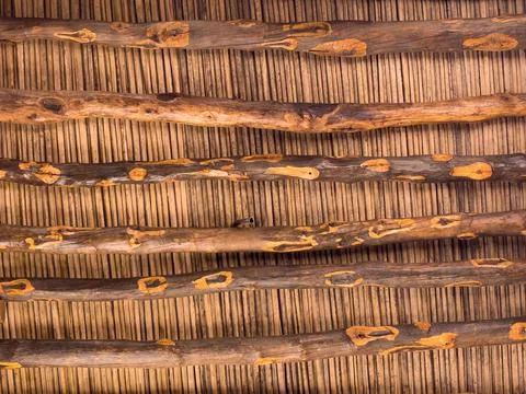 Background of wood Stock Photos
