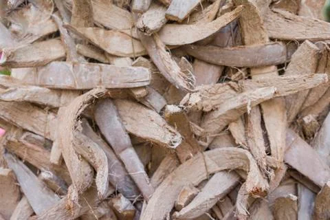 Background wood texture Stock Photos