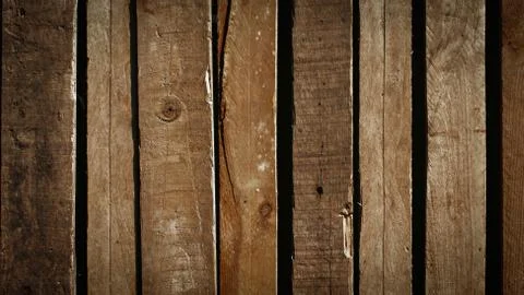 Background with wood texture. Stock Photos
