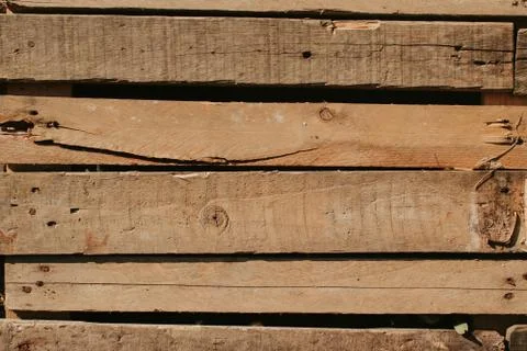 Background with wood texture. Stock Photos