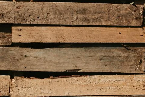 Background with wood texture. Stock Photos