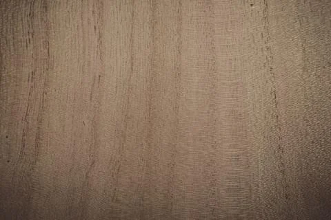 Background with wood texture. Stock Photos