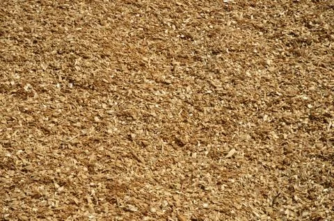 Background of wooden chips Stock Photos