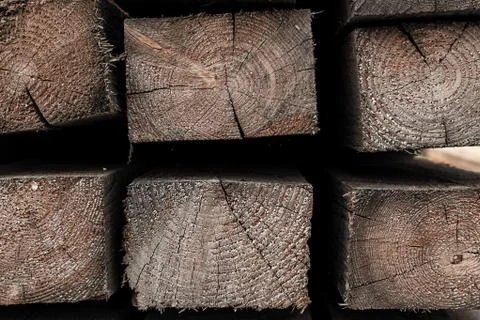 Background wooden end rectangular beam close-up natural tree design rings bui 스톡 사진