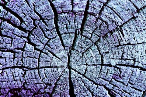 Background of wooden plank texture wall with selected tone color. Abstract Stock Photos