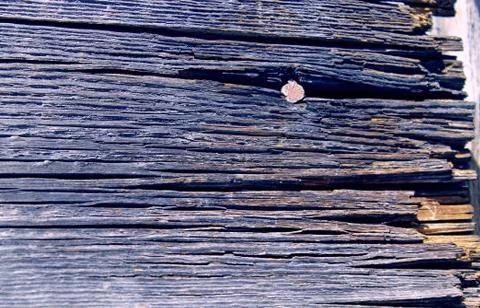 Background of wooden plank texture wall with selected tone color. Abstract ba Stock Photos