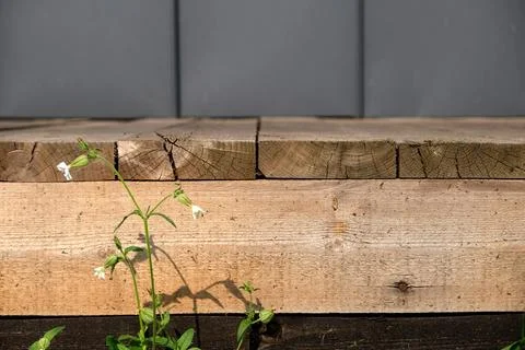 Background, wooden step with different types of wood, flower in the foreground, Stock Photos