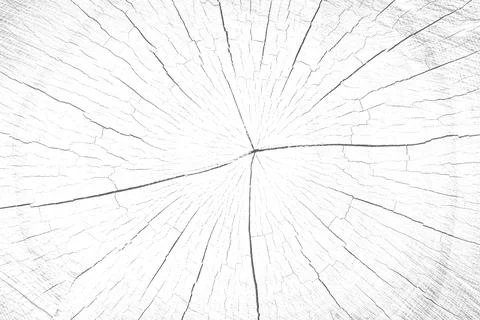 A background of a wooden stump Illustrazione stock