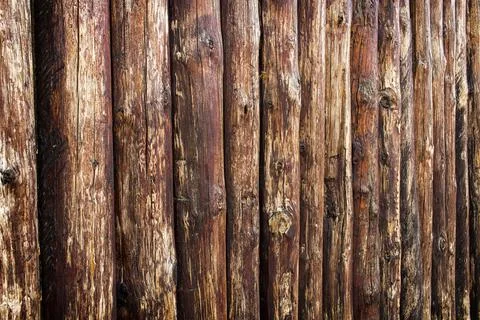 Background of wooden trunks of trees with a processed surface Stock Photos