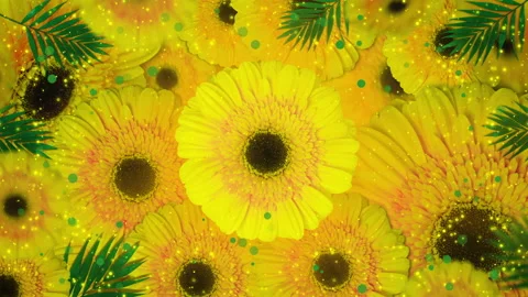 Background of yellow flowers 動画素材 171593065