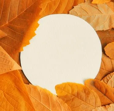 Background of yellow leaves with a paper form Stock Photos