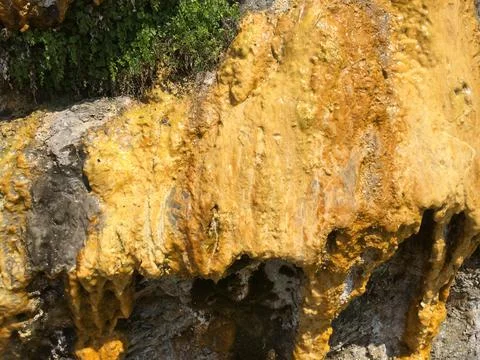 Background with yellow mold on the mountain or rock Stock Photos