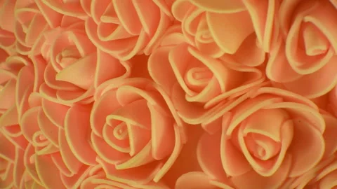 Background of yellow roses. Camera movement from left to right. 库存影片 107767766