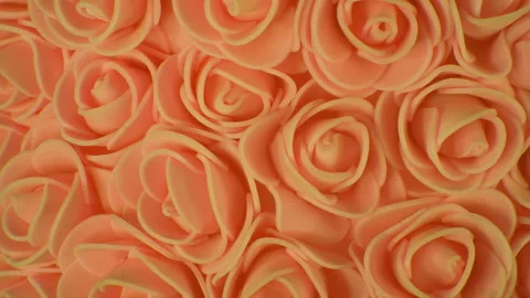 Background of yellow roses. Camera movement from right to left. Stock Footage 107767840