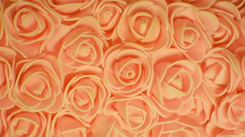 Background of yellow roses. Camera movement is clockwise. Stock Footage 107767866
