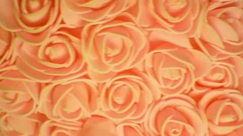 Background of yellow roses. The movement of the camera in different directions. Stock Footage 107768143